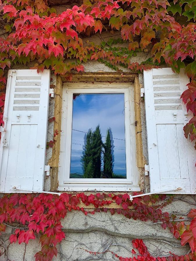 Le Gite De Buffetieres Saint-Romain-de-Popey Экстерьер фото